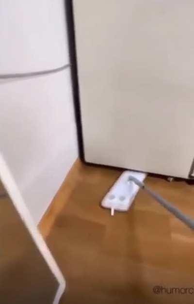 Let me see what is under the fridge