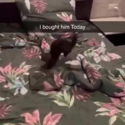 That's one happy little guy!