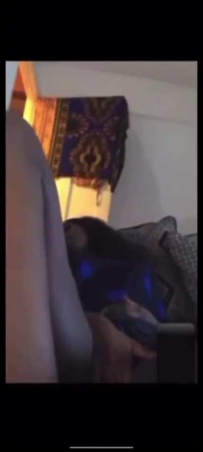 Bashing in hoyos fadi , Ri4pf that’s her snap at the end