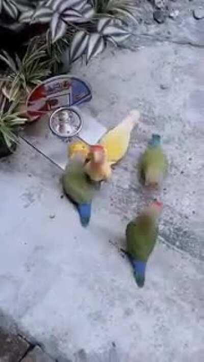 I don't know if this qualifies but it surely made my day!!