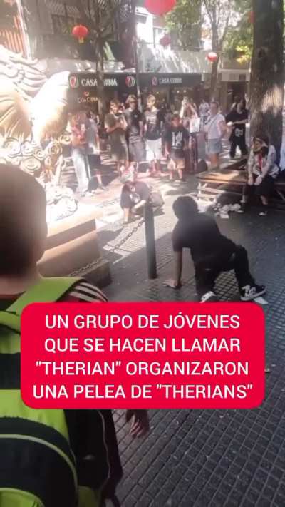 Un grupo de Therians organizaron una pelea callejera