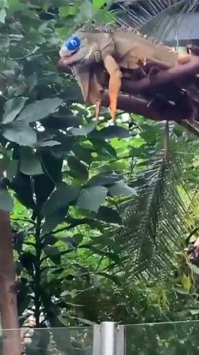 Something to laugh at