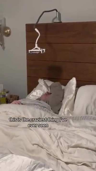 UNBG. You Know They're Married Because She's Wearing A Coat Under The Blanket So He Obviously Won The Thermostat War.