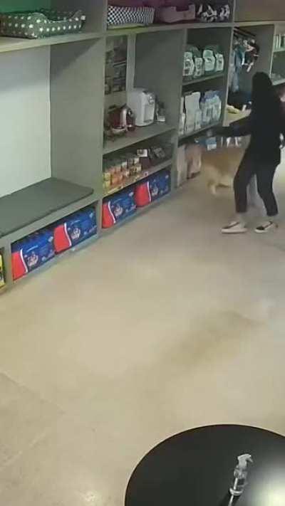 Closed-circuit TV of a Brazilian pet shop