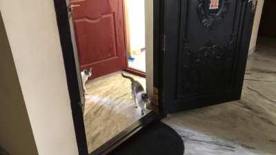 Opening door like a boss