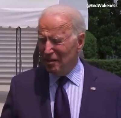 Crush the Plague Rats !