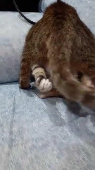 counting the seconds