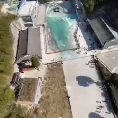 The biggest swing in the world.