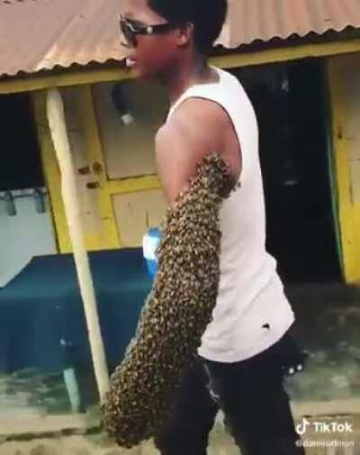 I know bees are our friends, which is why this is not tagged NSFW. But just no, no and a thousand times no