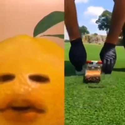 Peter why is annoying orange look like he's stoned asf?