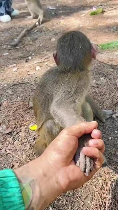 Who the hell are you?