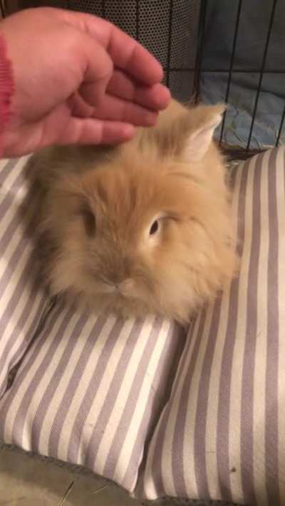 My girl Ginger is so sweet