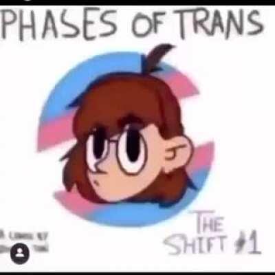 Trans be like