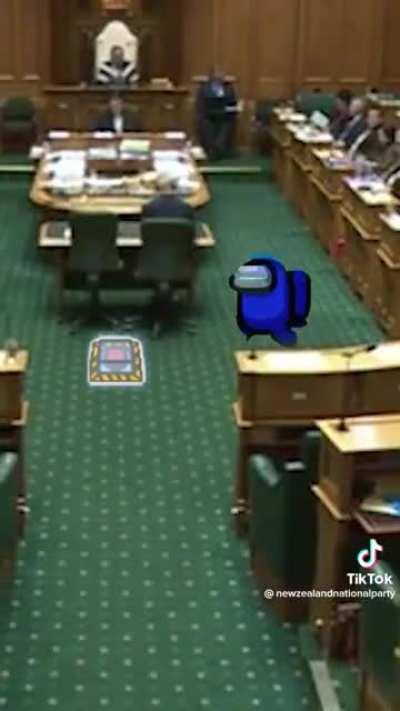 New Zealand Goverment is wild bro 💀💀💀