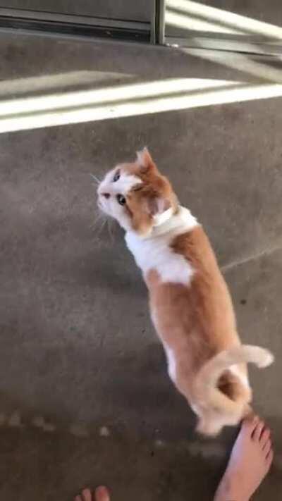 Begging for one more cigarette