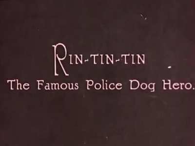 Rin Tin Tin is credited with saving the Warner Bros. studio in the 1920s due to the popularity of his films