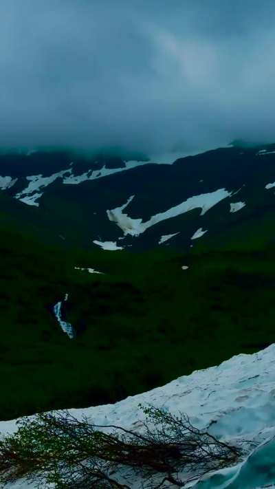 Posting various pictures and videos of bears and other animals I’ve taken here in Alaska until the next OKBV stream, day 365, ❤️💙💚