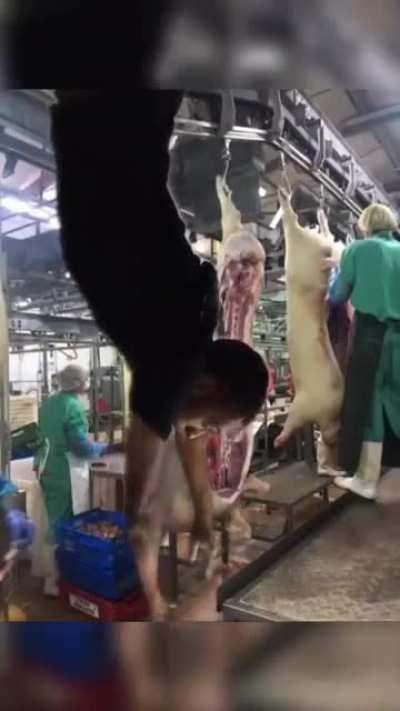 Сплошное надувательство