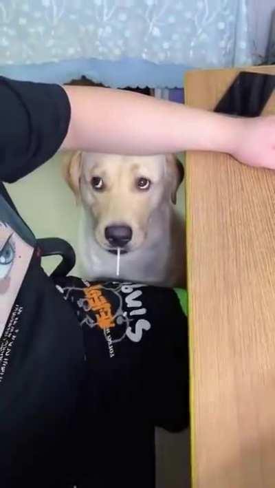 Be careful with your wishes, they may come true 💁