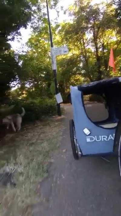 Waking up early is always worth it to have a bit more time taking Hime out for an adventure