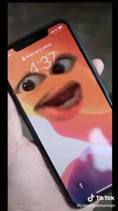 Youse a whole ass bitch