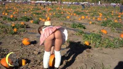 Wind caught me by surprise at the pumpkin patch!