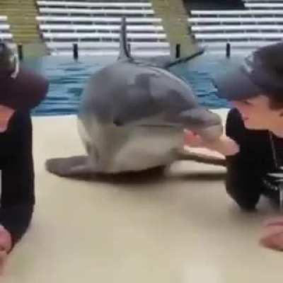 Полюбому мужик