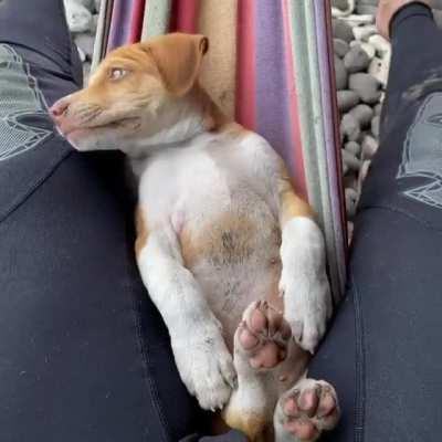 How wonderful it is to spend free time together