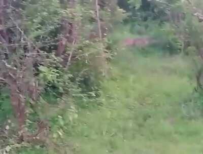 🔥 We don't call the hare fast for nothing