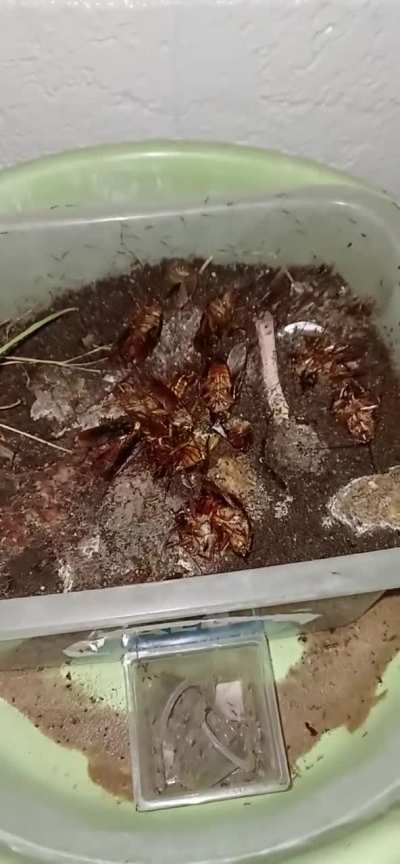 My barrier is gonna fail...