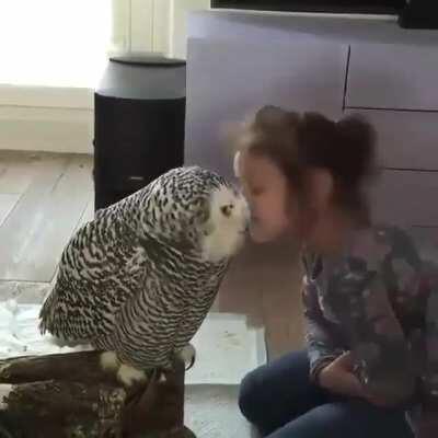 Cute Kisses