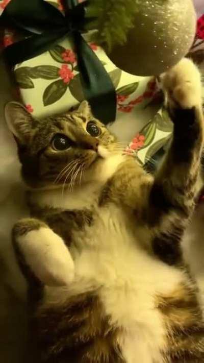 Ждёт свою ёлку