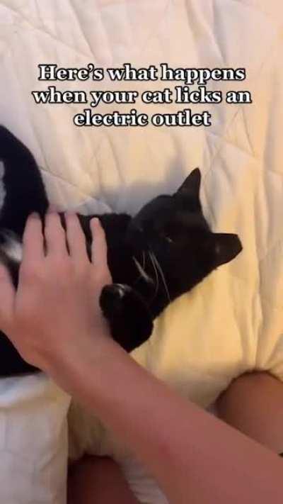 Electric Kitty