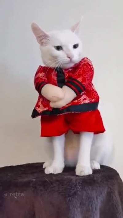 MaRtIAl ArtISt sTriKeS dEaDlY bACk