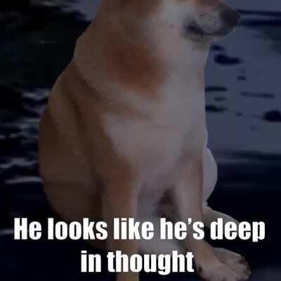 Le philosophical thinker has arrived