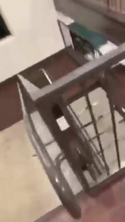 Смотри как могу!