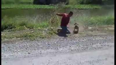 Another sad case of Brazilians hurting each other 😥