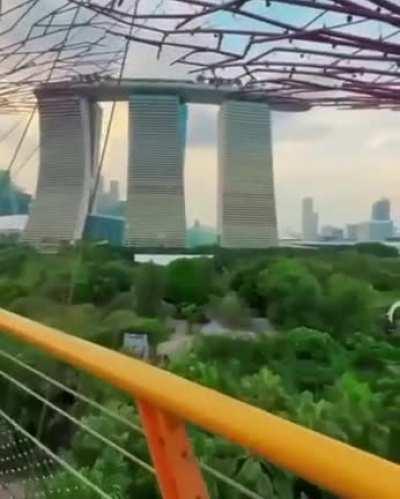 A park in Singapore.