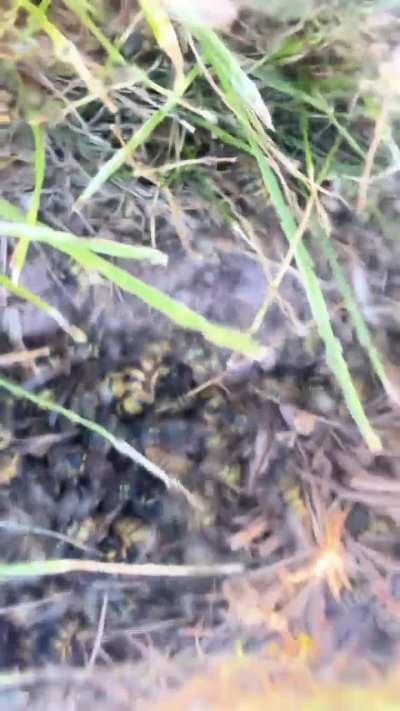 Day 18 under the dome