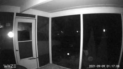 Got woken up by what I thought was a lady yelling. No lights on front porch or street. Went to check it out and nothing. Checked the motion sensors on camera and see this for about 2 hours on my doorstep setting off sensors. I have about 7 videos total. A