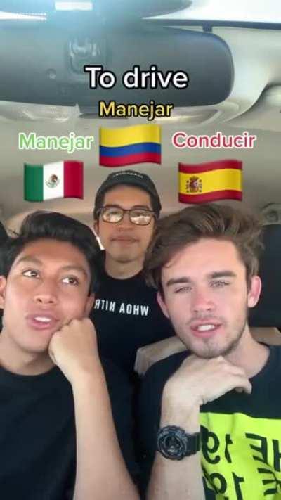 People talk about Euro vs Brazilian Portuguese and forget that European Spanish is crazy as well!