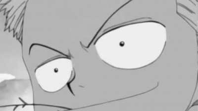 One piece in a nutshell part 1