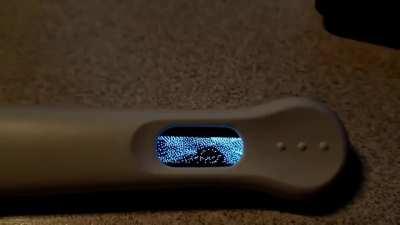 Skyrim On A Pregnancy Test