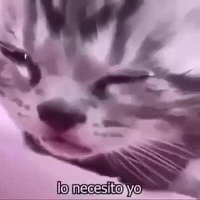 señoreas y señores, me siento de la perra