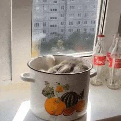 I forgot to put my soup in the fridge😬