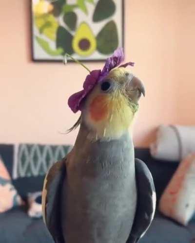 I'm a little tea...wait, how does it go again? Ahem, I'm a little teapot short and...damn!