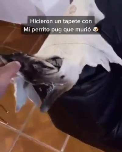 NOOOOOO!!! Re turbio