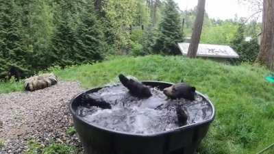 He’s having so much fun