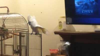 Let's get this party started