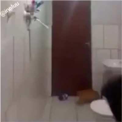 When you and your cat are afraid of the same mouse [Crosspost from r/WatchPeopleDieInside. OP: u/Chasith]